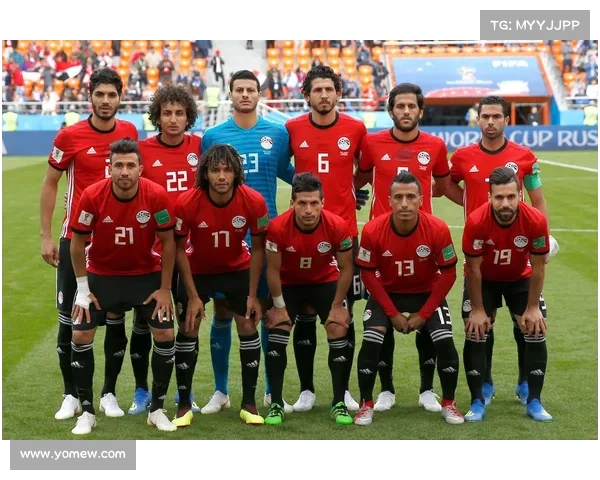 俄罗斯 埃及赛事-俄罗斯vs埃及分析