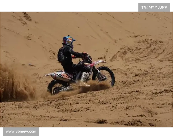 沙漠越野赛事2017、沙漠越野车比赛