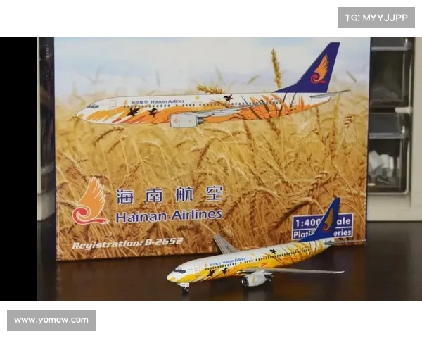 海南航模协会 海南航模协会